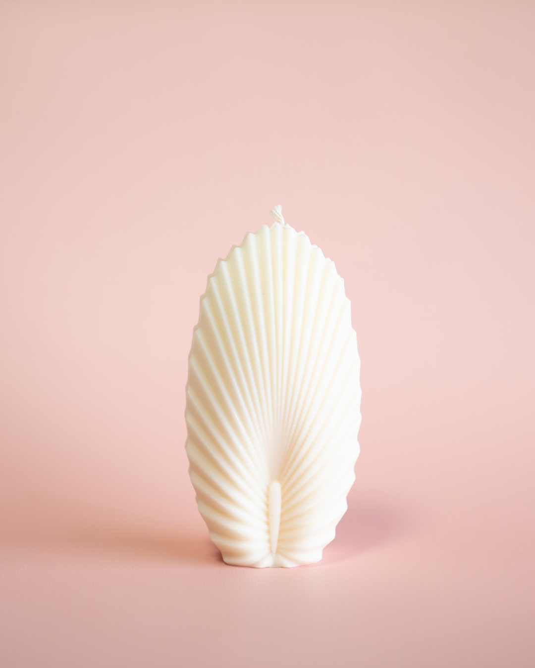 Mariana Shell Candle